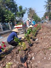 MỖI TUẦN MỘT TIN TỐT, CÂU CHUYỆN ĐẸP